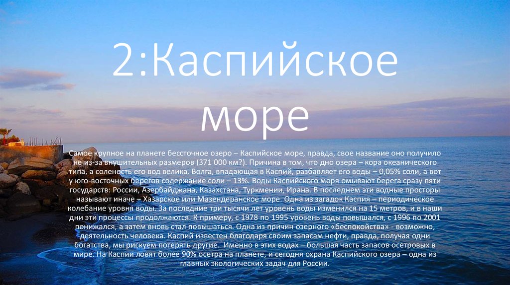 Популярные водные виды спорта