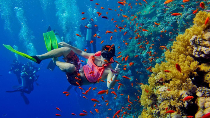 Snorkeling Mnemba Maldives Bonus 081123143455.png Дайвинг и снорклинг в Египте – топовые места для незабываемых подводных приключений