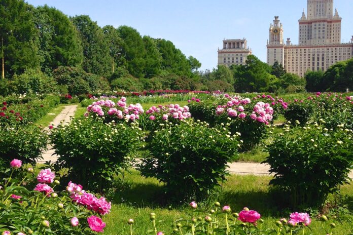 botanicheskij sad mgu Ботанический сад МГУ - Оазис природы в сердце Москвы