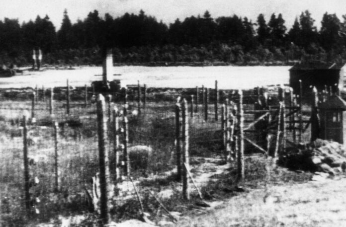 uzhasnye stranitsy istorii lager smerti trostenets i ego zhertvy "Ужасные страницы истории - лагерь смерти Тростенец и его жертвы"