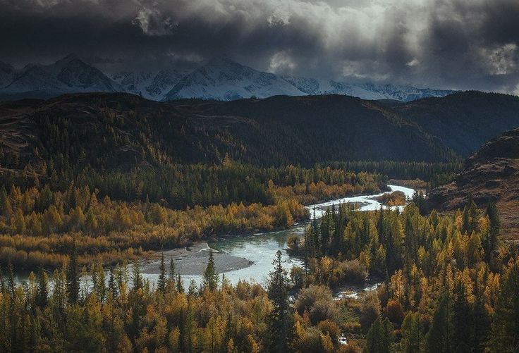 Сибирь как неизведанный край с его непокоренной и дикой природой Леса, хранящие древние тайны