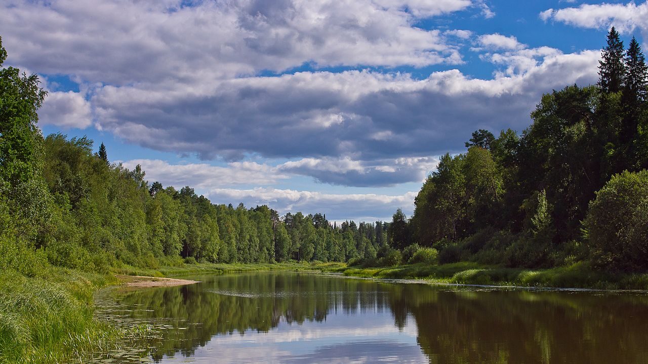 Активный отдых на воде для туристов