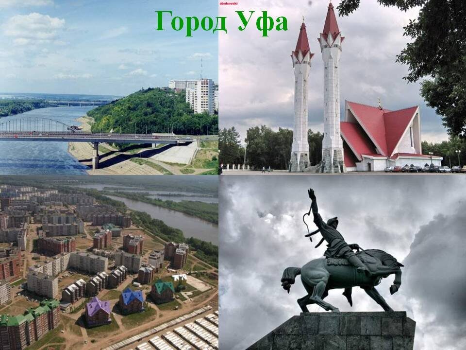 Леса и природные парки