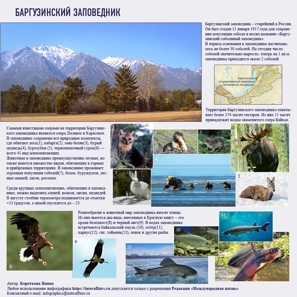 Сибирский Баргузин как уникальная природная зона для экотуризма