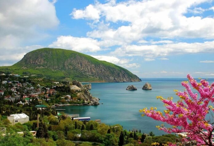 Что делать в экстренной ситуации в Крыму и как правильно использовать важные контакты и инструкции для быстрого реагирования Что делать в экстренной ситуации в Крыму и как правильно использовать важные контакты и инструкции для быстрого реагирования