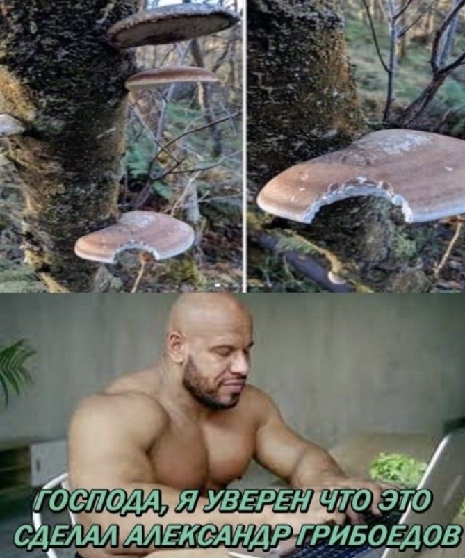 Ключевые места Перми, которые должны увидеть все туристы