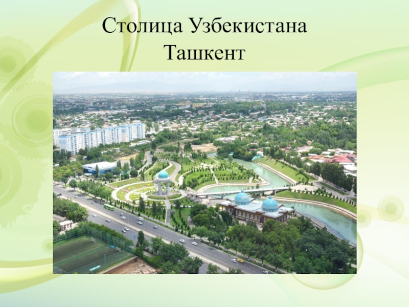 Рынки и кафе как центр гастрономической жизни