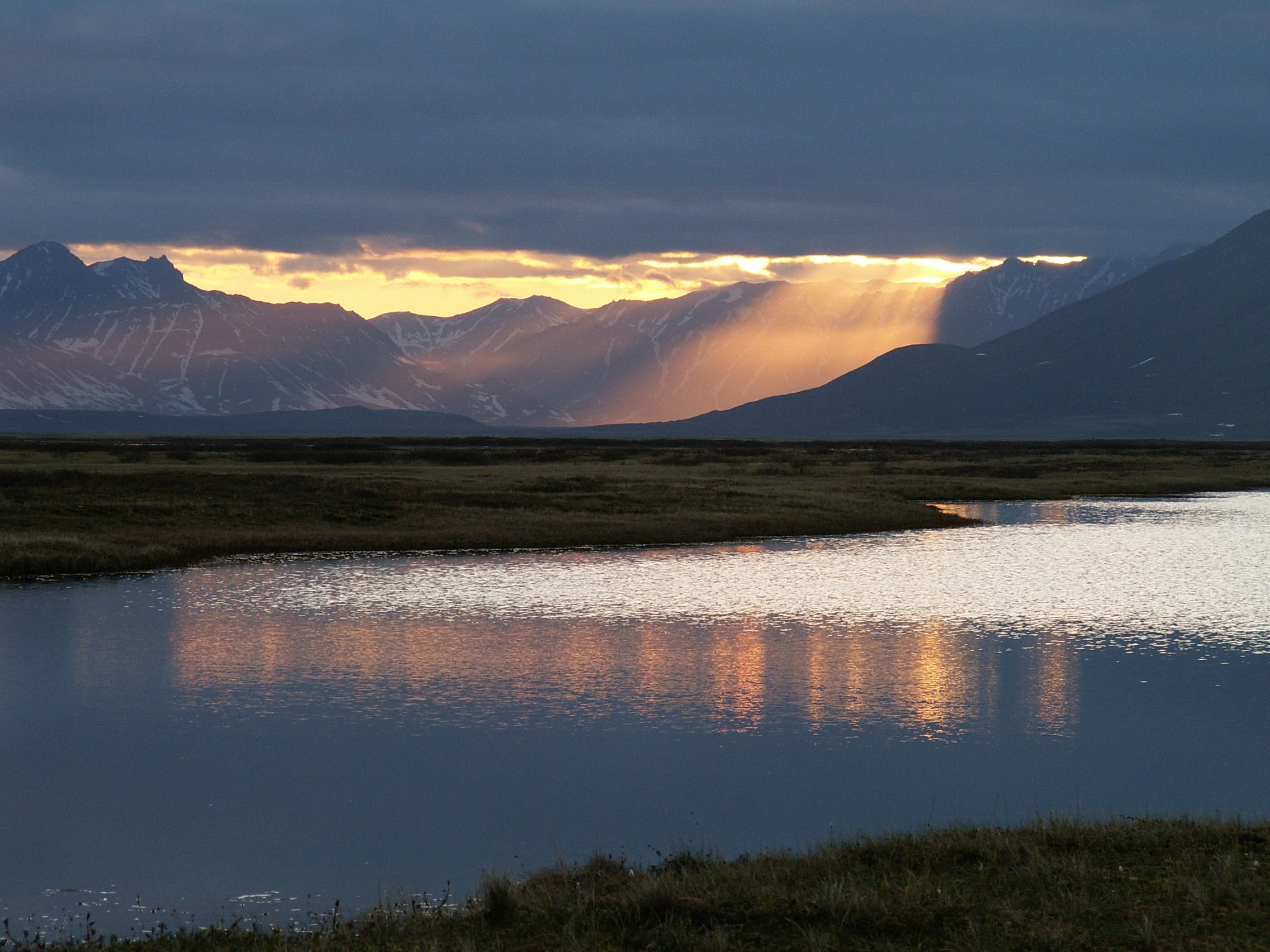 gallery_6507_72_285303-4750366