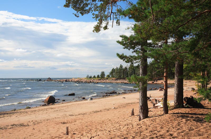 Отдых в Зеленогорске на берегу Финского залива всего в 40 километрах от Санкт-Петербурга Природные пейзажи и возможности для прогулок