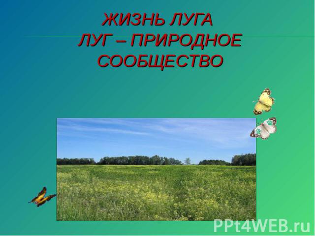 Лучшее время для посещения Луги и особенности местного климата