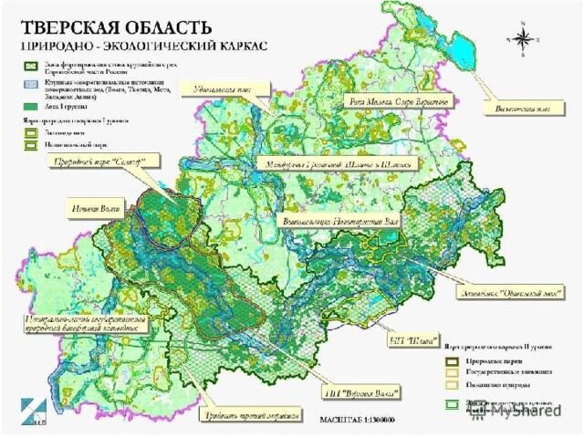 Как Тверь сочетает историю и природу
