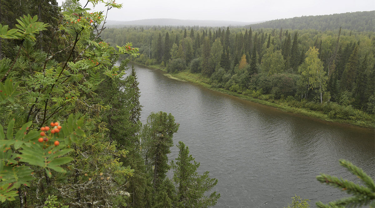pechoro-ilychskiy_zapovednik-6093791