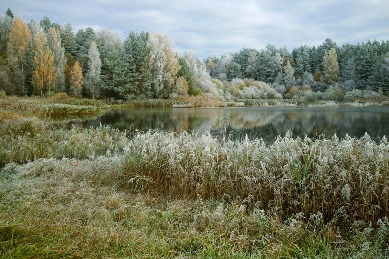 shore-forest-lake-october-frost-pskov-region-russia-shore-forest-lake-october-frost-pskov-region-112345504-2874637