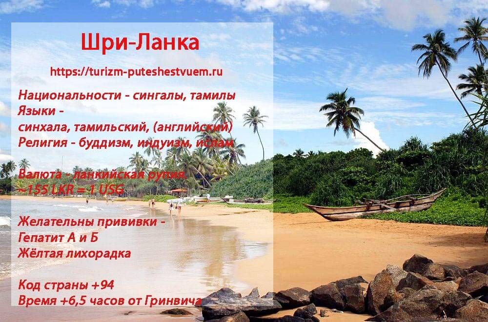Отдых на Шри-Ланке: что нужно знать перед поездкой
