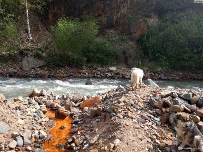 skpwl8vm2j2kyenmdneseq 6513054 Долина нарзанов и курорты с целебными источниками для здоровья и отдыха