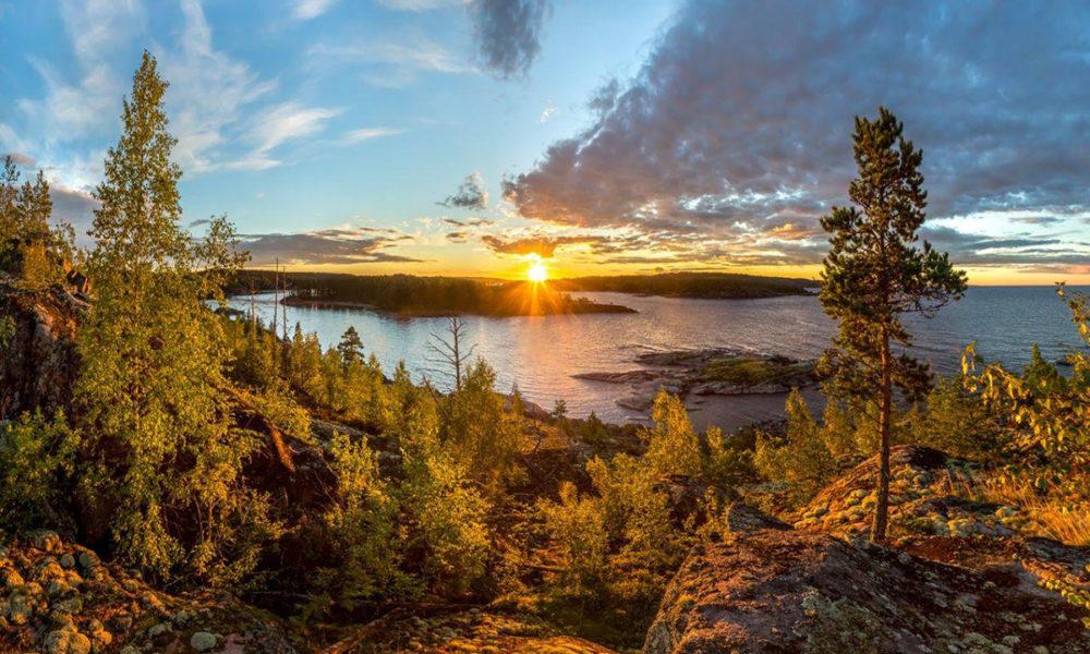 Уникальные животные и растения Карелии