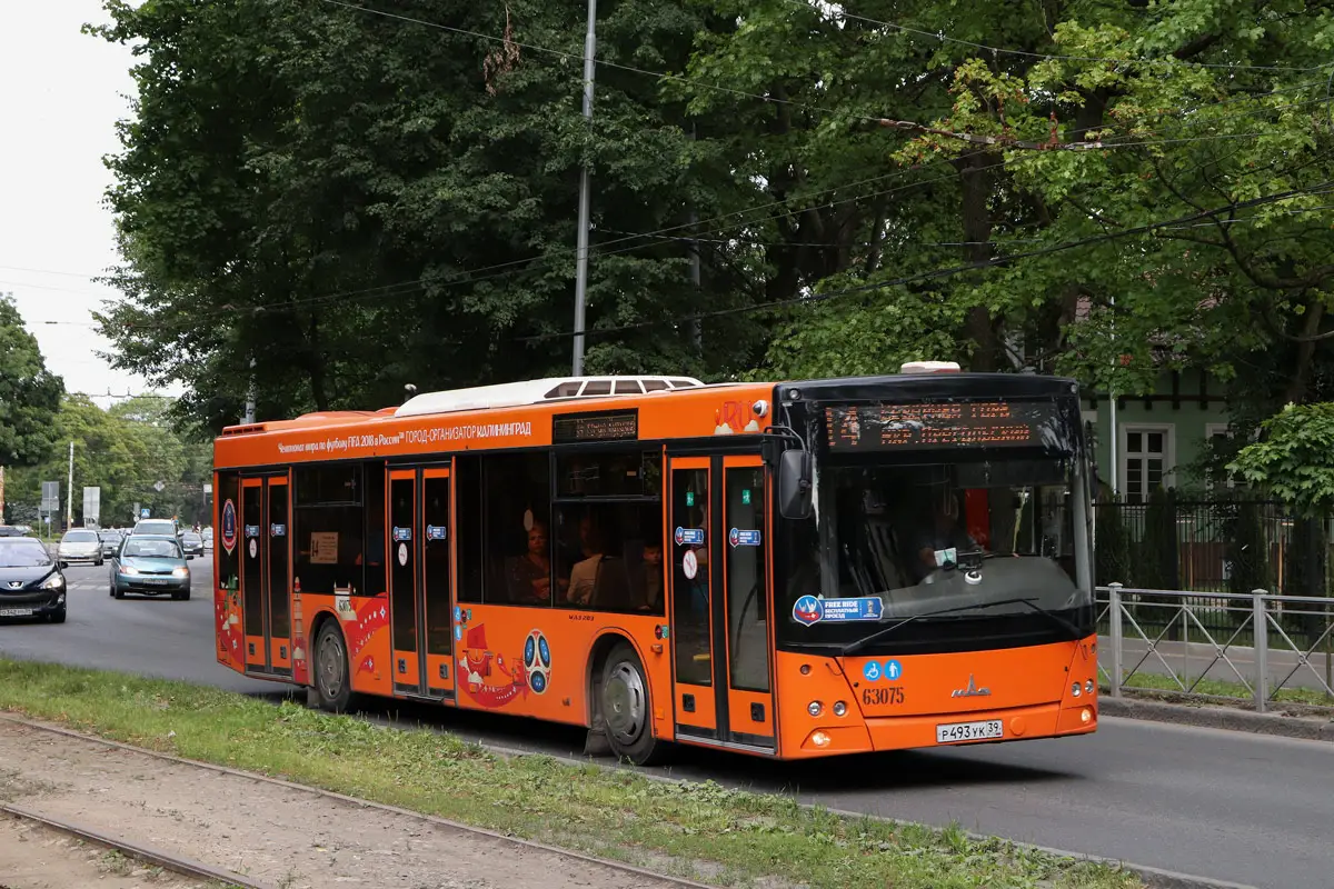 Что выбрать для путешествий по окрестностям