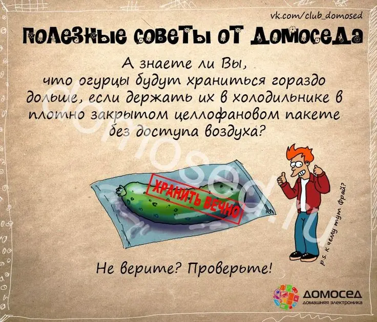 Как не попасть в туристические ловушки в Калининграде и максимально эффективно спланировать своё путешествие Как оптимально организовать маршрут