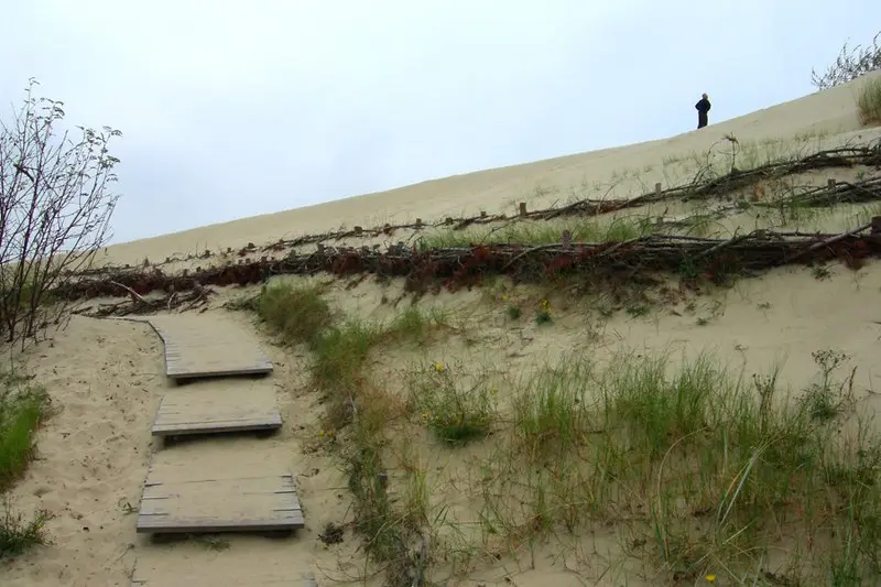 "Идеи для незабываемого дня на Куршской косе с уникальной природой и захватывающими видами" Чем заняться на Куршской косе в любое время года