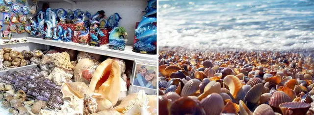 Особенности подарков с морского курорта