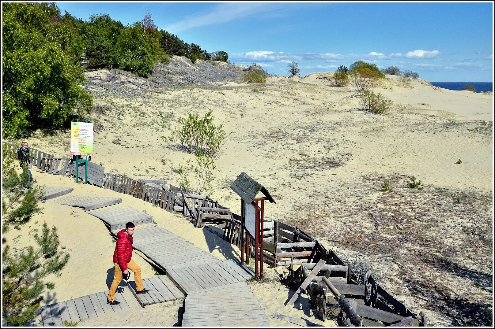 "Идеи для незабываемого дня на Куршской косе с уникальной природой и захватывающими видами" Растения, которые стоит увидеть